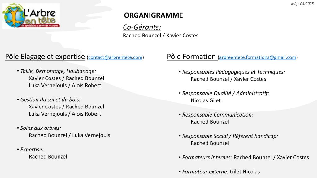 Organigramme L'Arbre en tête