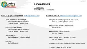 Organigramme L'Arbre en tête